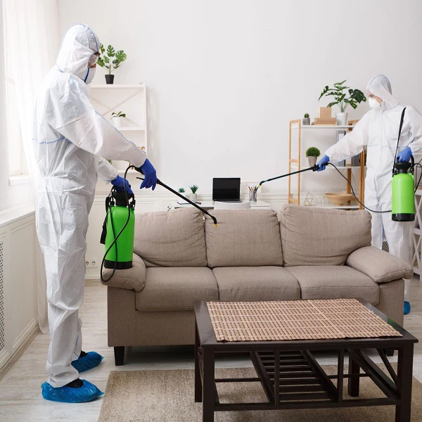Disinfecting Cleaning